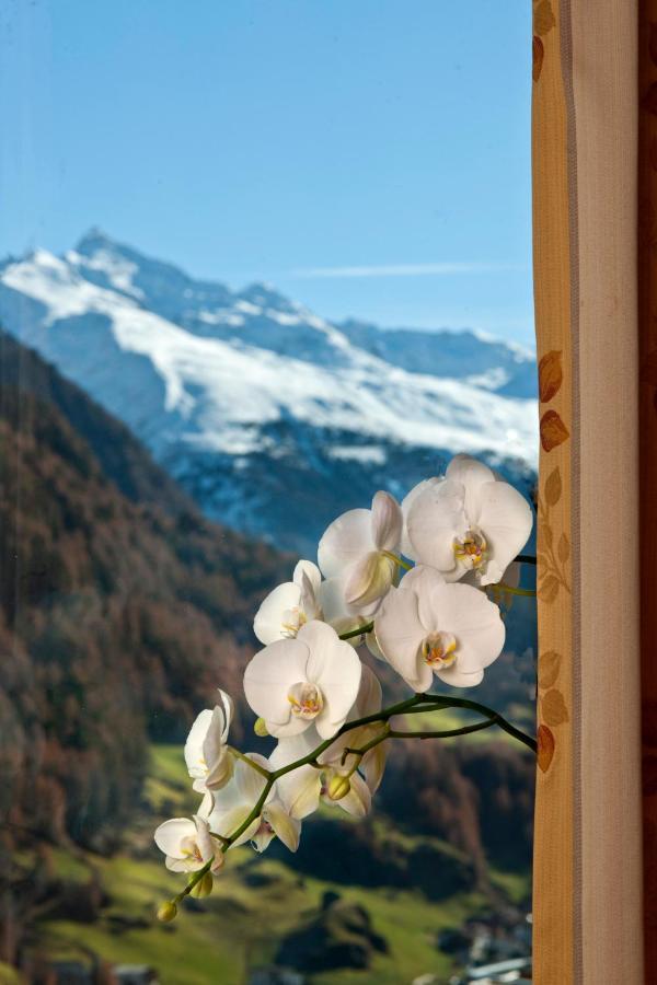 Alp Resort Tiroler Adler Sölden Exteriör bild